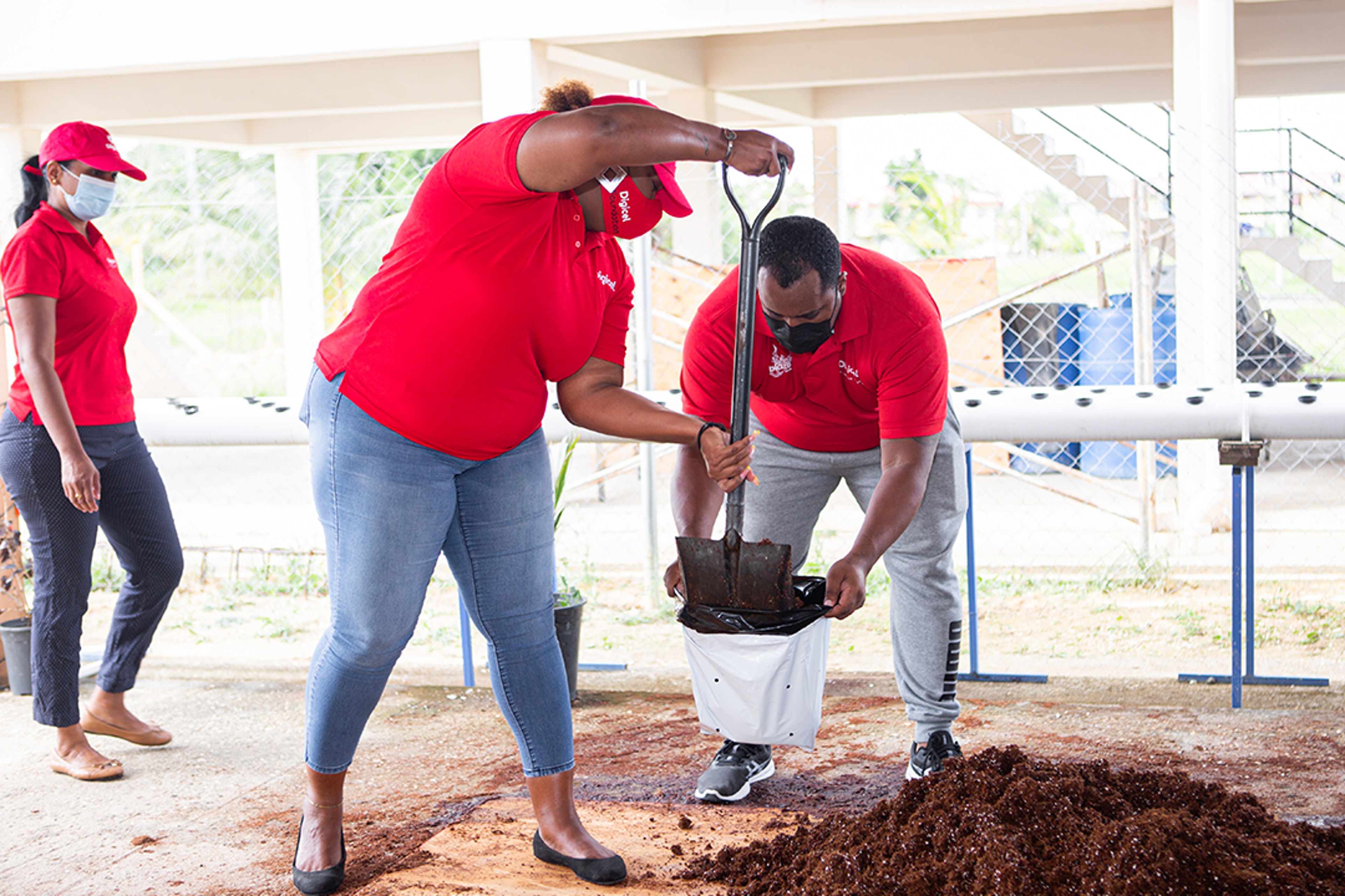 Staff-engagement-project-media-.png